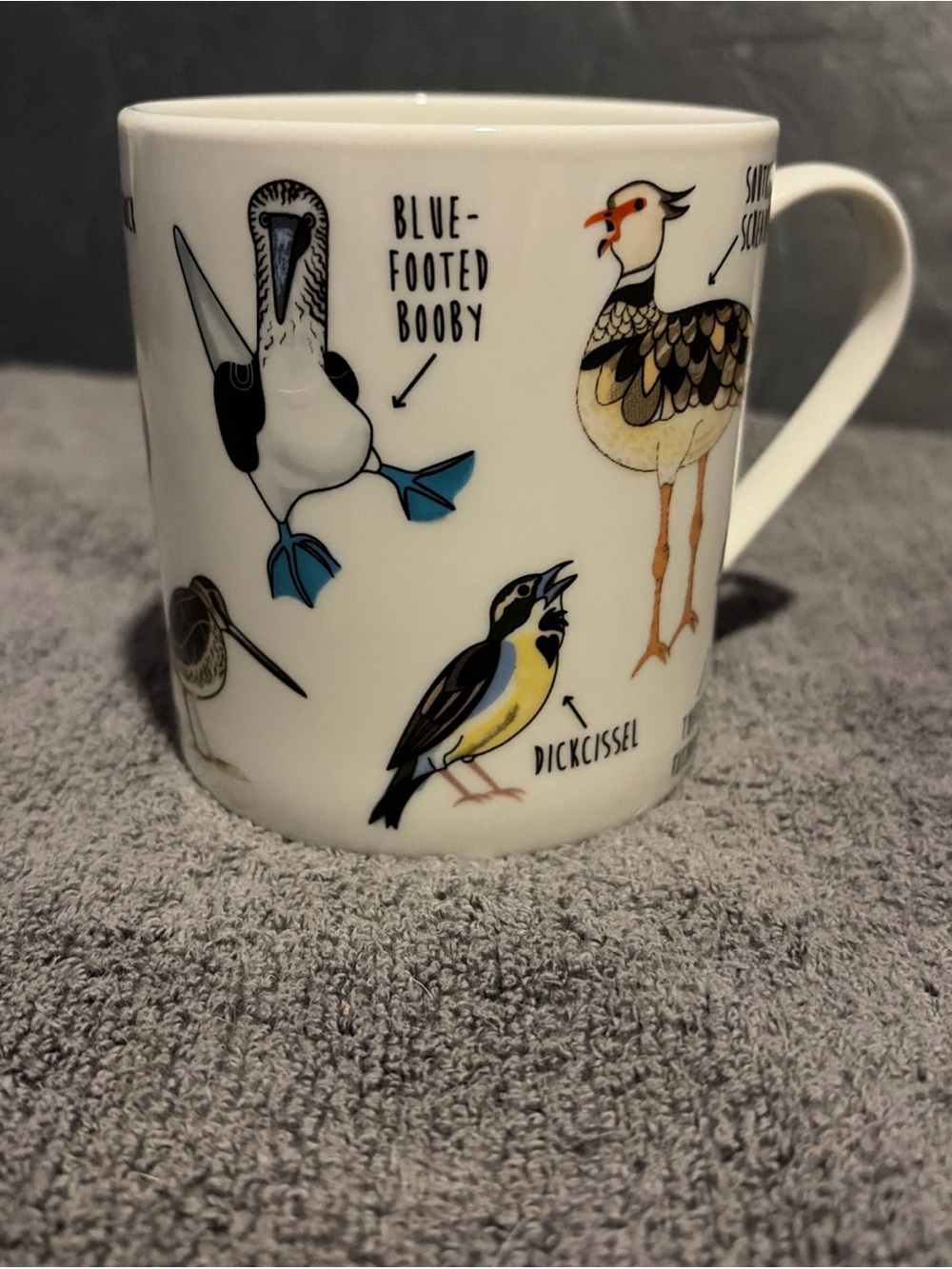Ginger Fox Fowl Language Naughty Bird Names Ceramic Mug-Bird Lover Funny Gift
